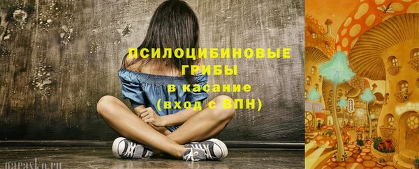 бошки Алексеевка