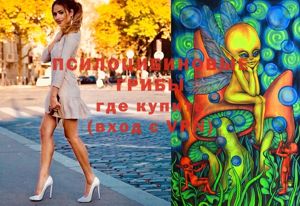 тгк Саяногорск