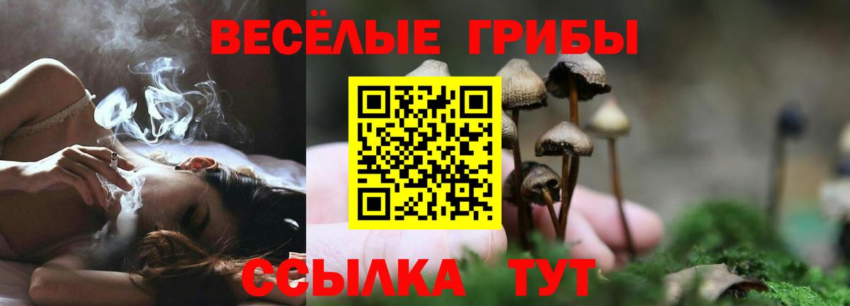 Лесосибирск  Псилоцибиновые грибы MAGIC MUSHROOMS  Вход с VPN 